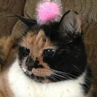 Ruth Walter Photo 12