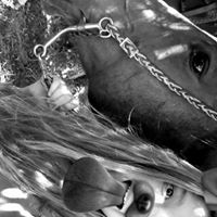 Allison Bernard Photo 8