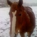 Amy Parris Photo 11