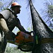 Robert Freeman Photo 27