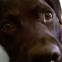 Kimberley Richards Photo 24