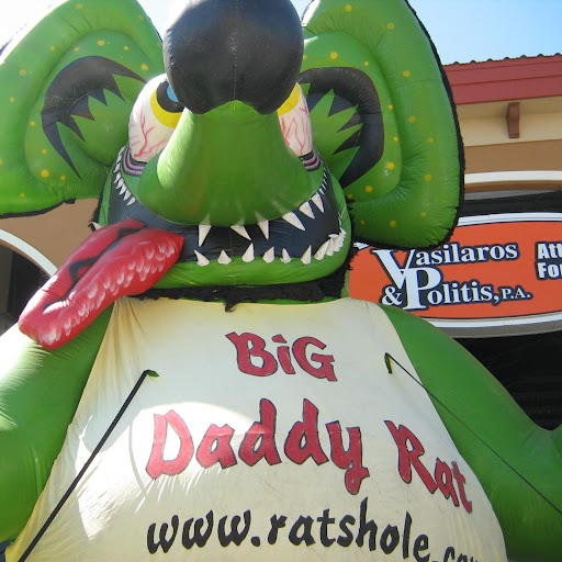 Debbie Hull Photo 38