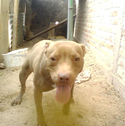 Jesus Ramon Photo 37