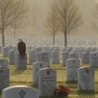 Richard Graves Photo 42