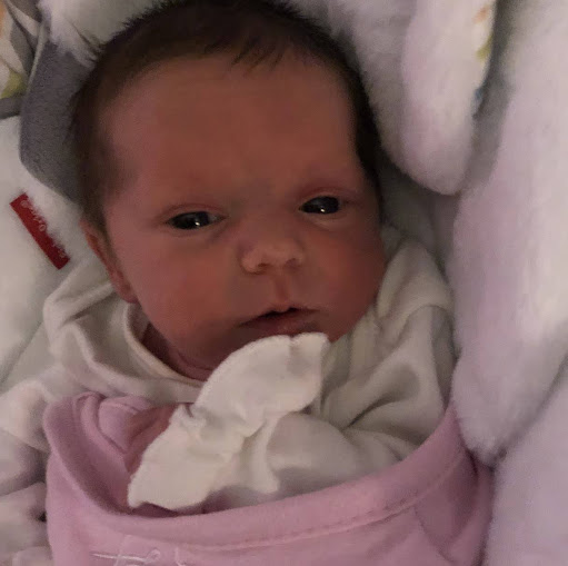 David Riggs Photo 37 David Riggs Photo 37