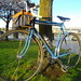Chris Sachs Photo 19