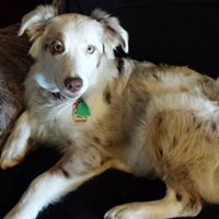 Nancy Breen Photo 26