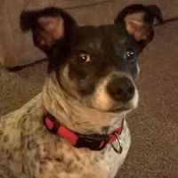 Tracy Fleming Photo 24