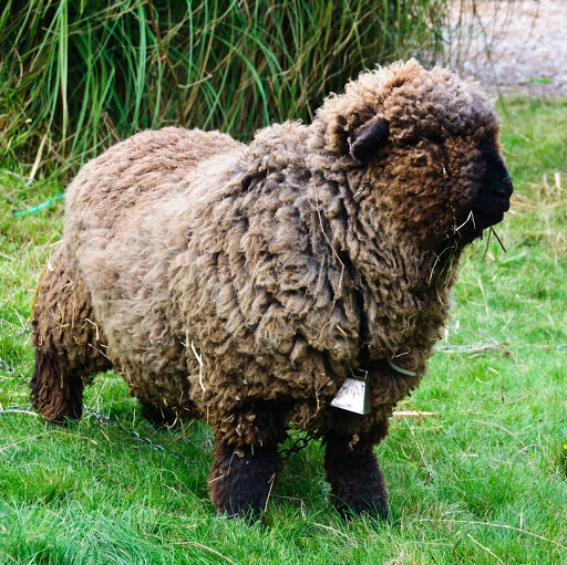 Michael Hamman Photo 22