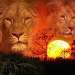 Michael Kuntz Photo 20