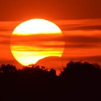 Deborah Gould Photo 14