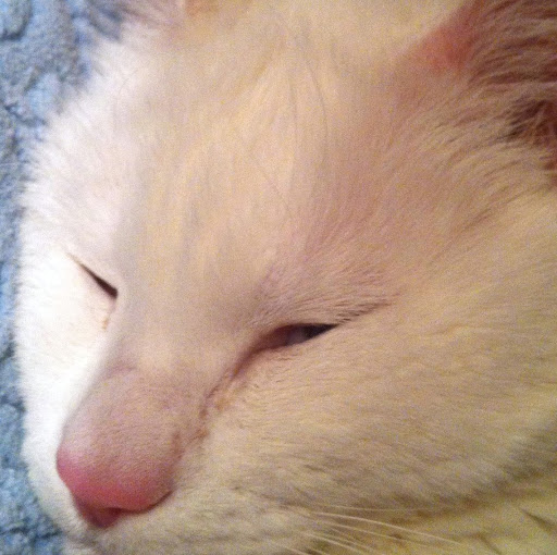 Cathy Peters Photo 10