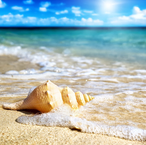 Kristin Austin Photo 8