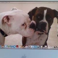 Keith Barton Photo 46 Keith Barton Photo 46