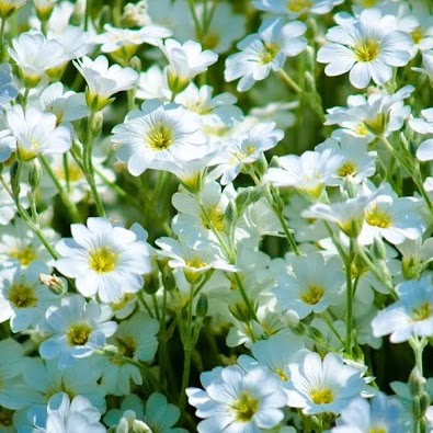 Debra Hughes Photo 10