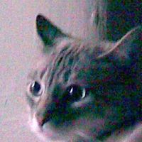 Thomas Funk Photo 17