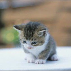 Virginia Lozano Photo 11