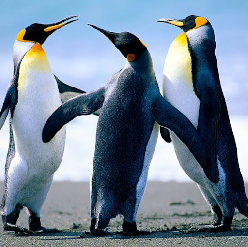 Jacob Gruber Photo 28