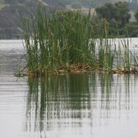 Cindy Summerfield Photo 6