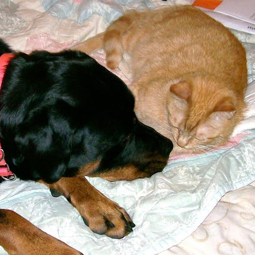 Michelle Welch Photo 9