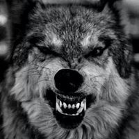 Bobby Mccarthy Photo 28