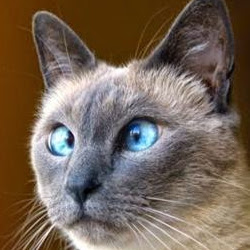 Marlene Fletcher Photo 8