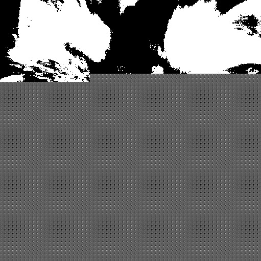 Jessie Schultz Photo 7