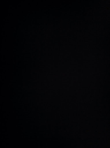 Rachel Collins Photo 9