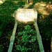 Catherine Graves Photo 42