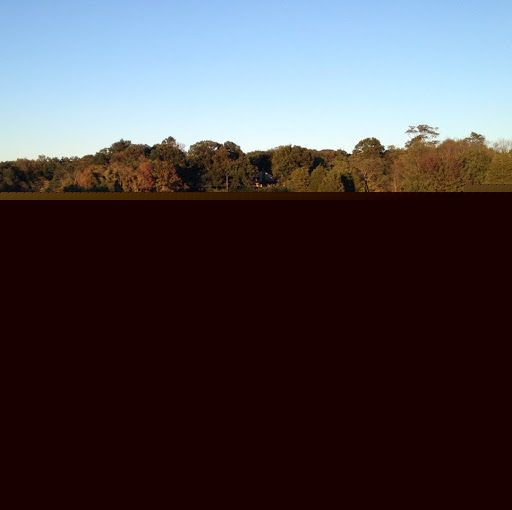 Colleen Palmer Photo 36 Colleen Palmer Photo 36