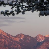 Julie Swatosch Photo 3