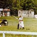 Trudy Meyers Photo 12