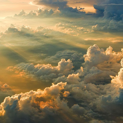 Patrick Atkinson Photo 40