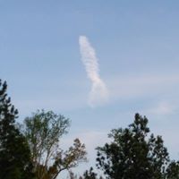 Kathy Campbell Photo 35