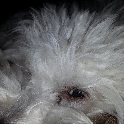 George Patterson Photo 56 George Patterson Photo 56