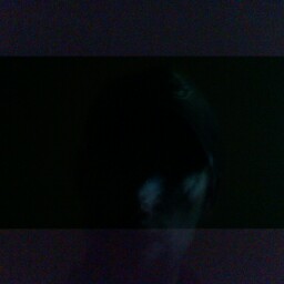 Joseph Hahn Photo 11