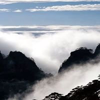 He Zhao Photo 21