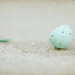 Robin Stoops Photo 11