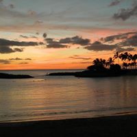 Terry Shepard Photo 13