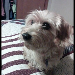 Theresa Barton Photo 25