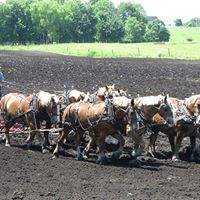 Colleen Bennett Photo 20