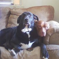 Michele Howe Photo 11