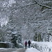 Carole Jones Photo 17