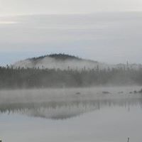 Suzanne Savard Photo 3