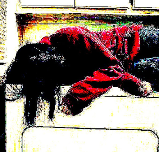 Victoria Aiello Photo 25