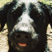 Jill Berger Photo 39