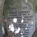 Ann Squires Photo 11