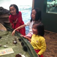 Xiaoling Wang Photo 26