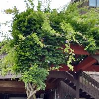 Sara Pickett Photo 14