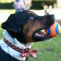 Tracy Trent Photo 19